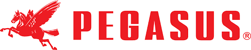 Pegasus logo